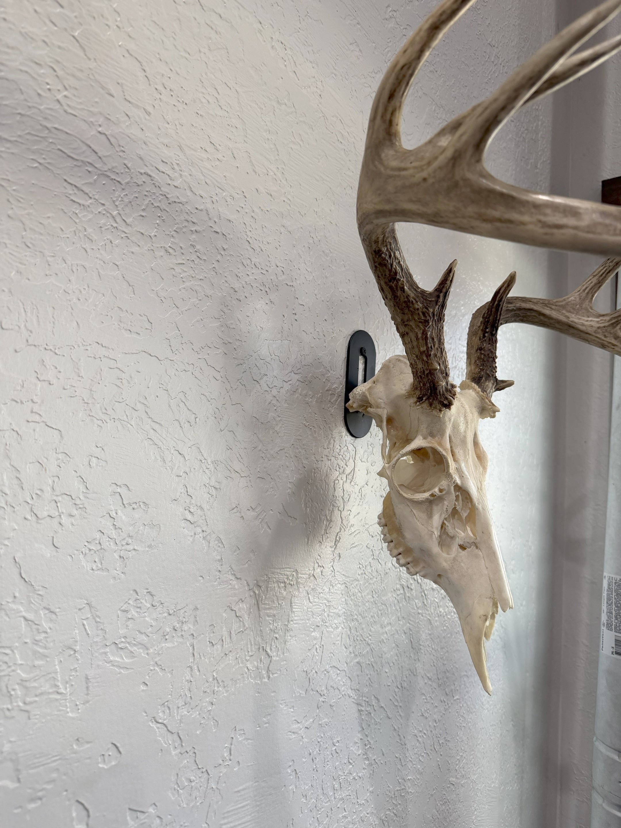 THE BUCK PLATE