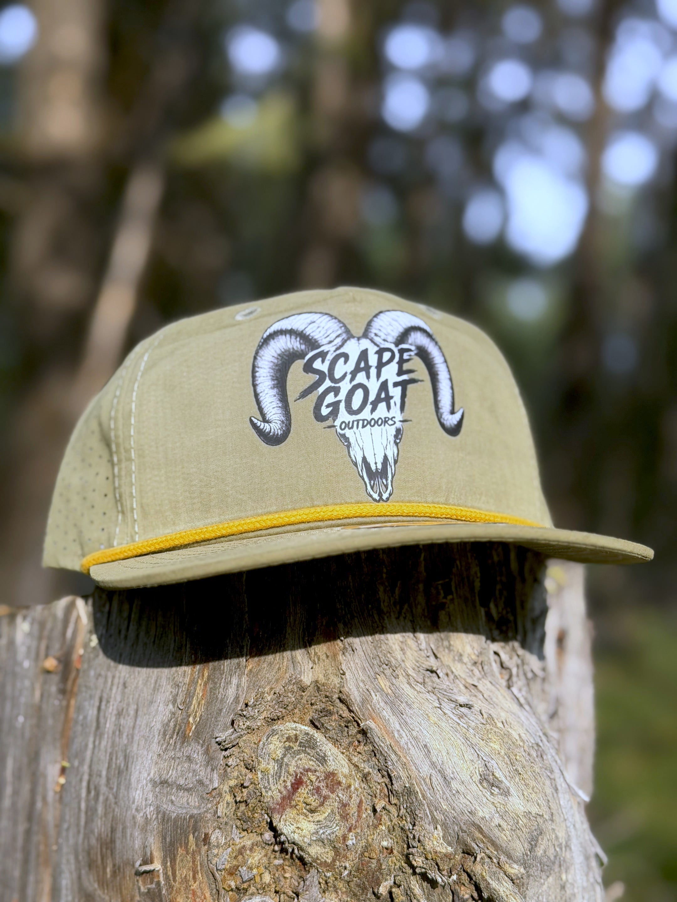 Euro Mount BallCap