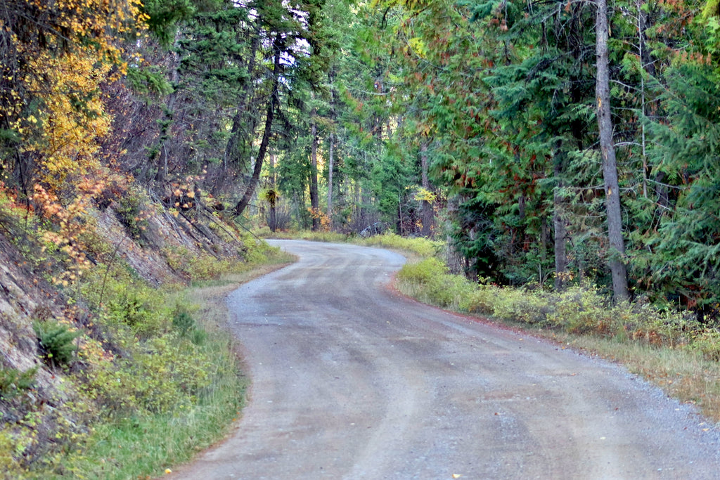 Western Adventure Consultation