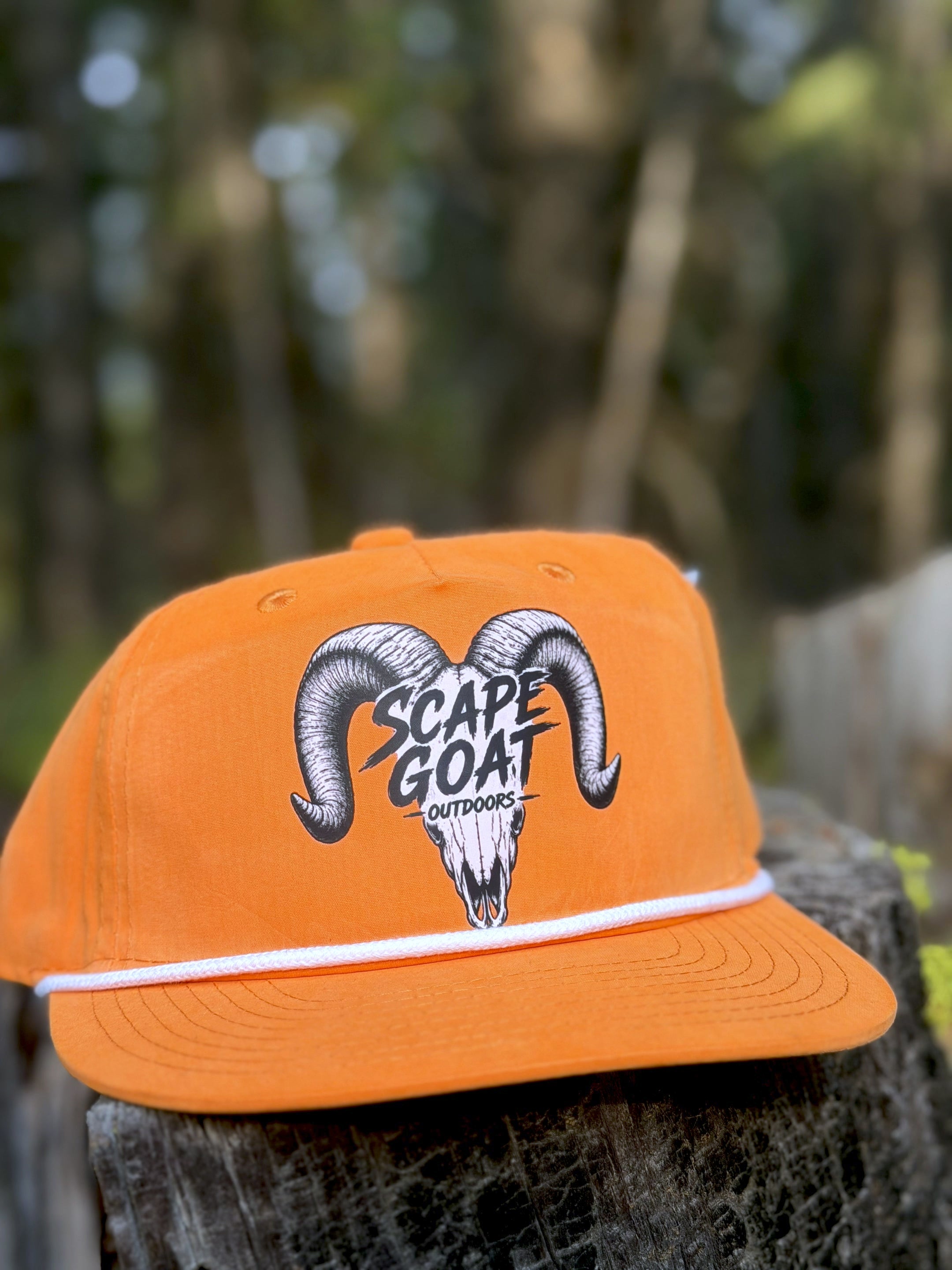 Euro Mount BallCap