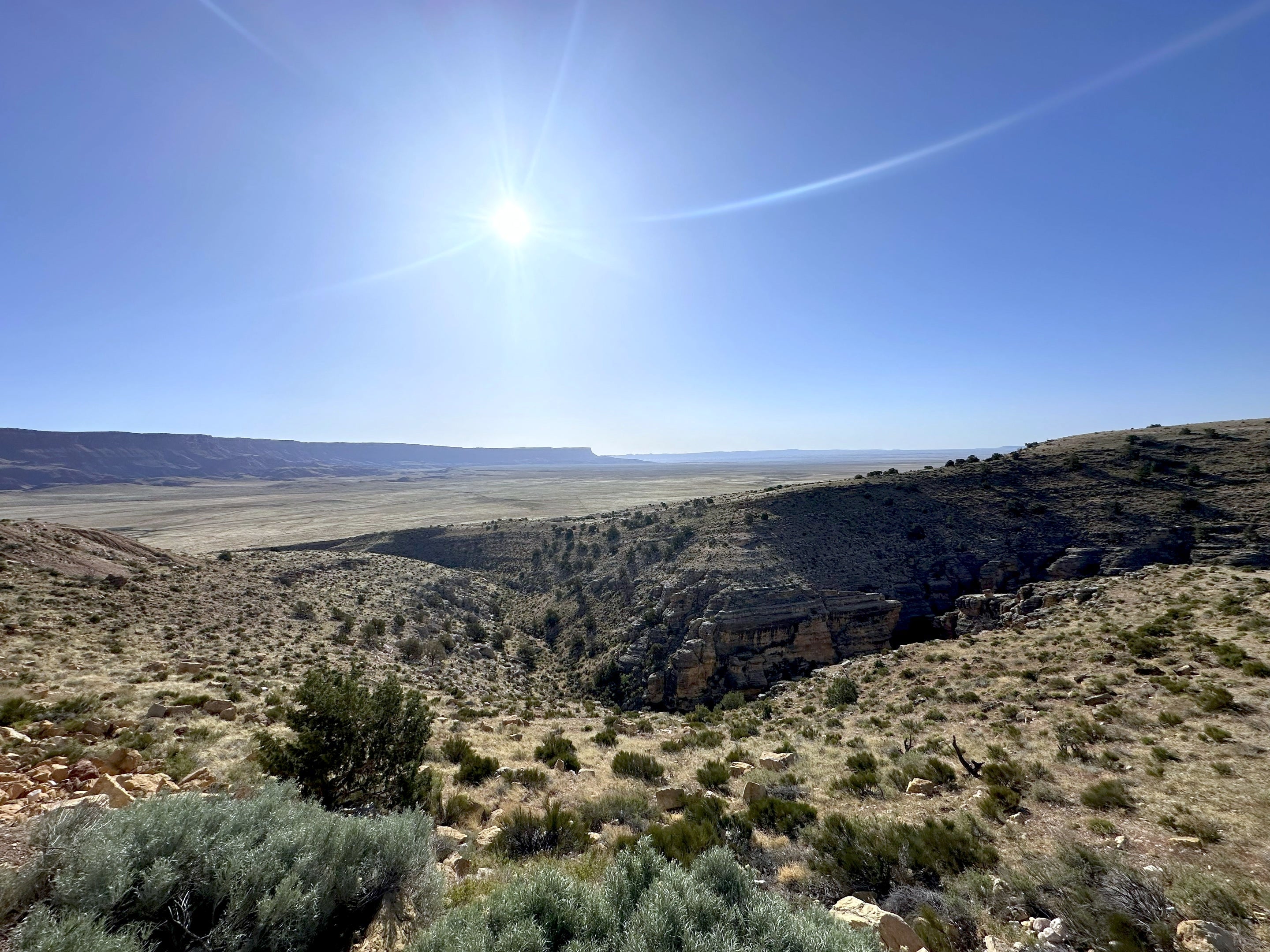 Western Adventure Consultation