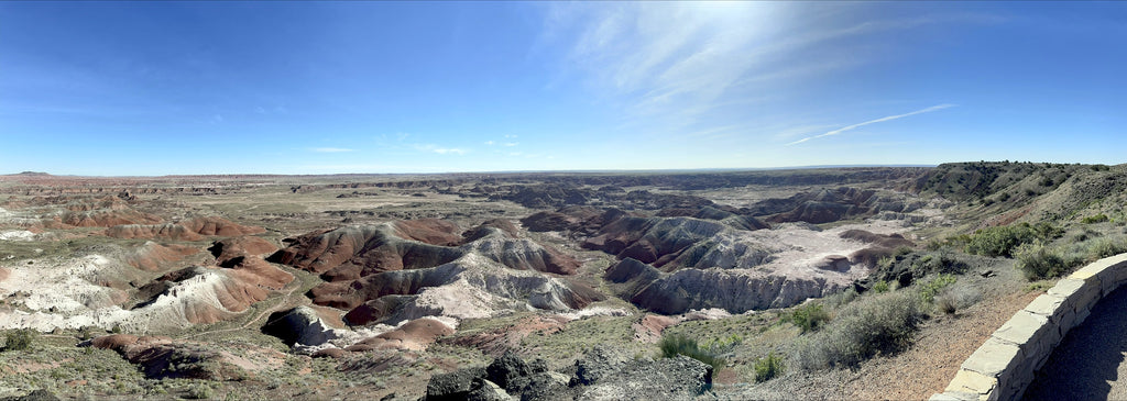 Western Adventure Consultation