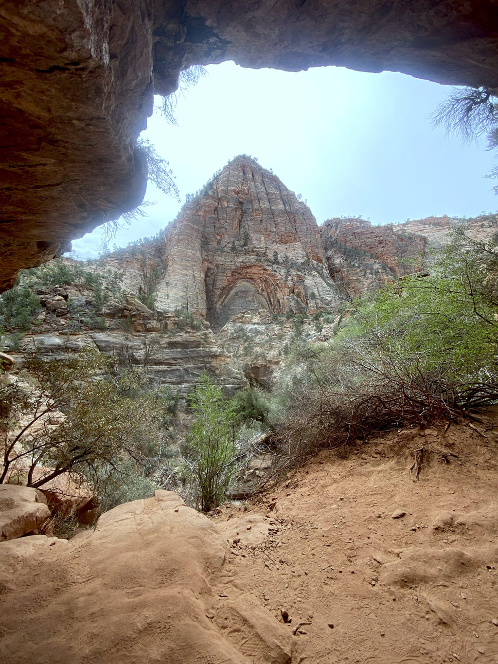 Western Adventure Consultation